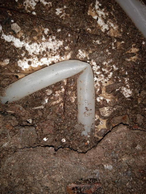 东平堵点精准查找